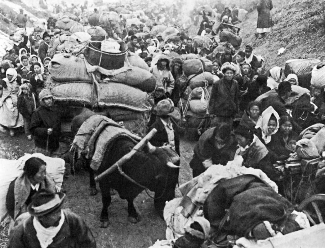 refugee
