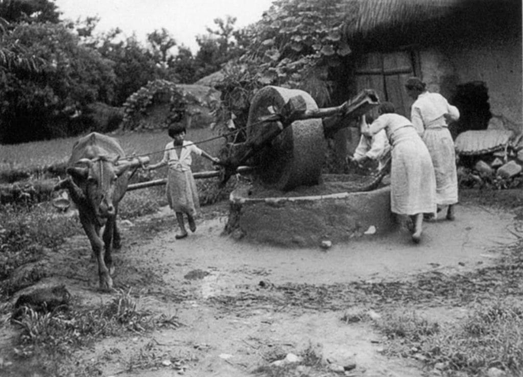 most Koreans were peasant farmers