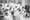 The thirteen couples blessed on February 28, 1969